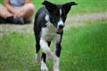 DSC_1010.jpg